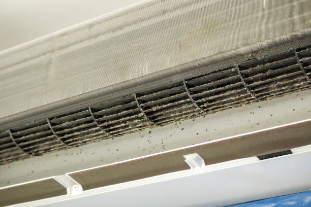 Best Home Air Vent Cleaning  in Woodlyn, PA